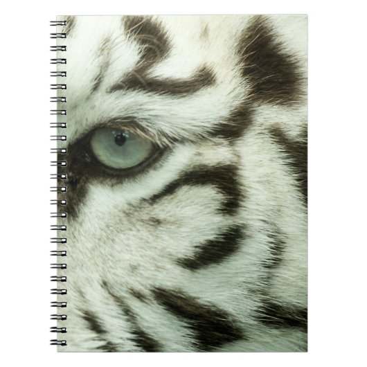 CARNET FACE DU TIGRE BLANC (Devant)