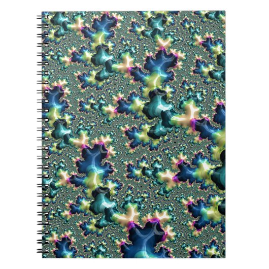 Carnet Fâcheux fractal (Devant)