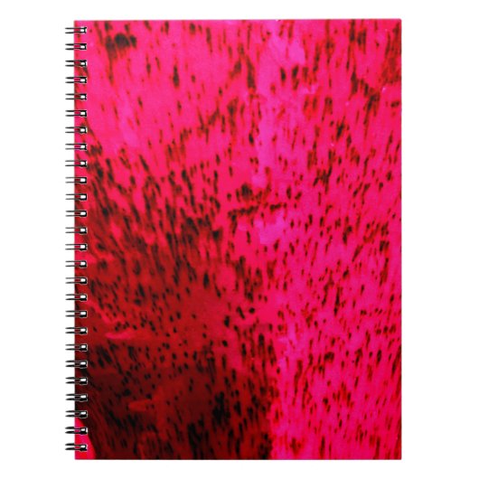 Carnet Faïence à la fraise (Devant)