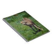 Carnet Faire face (Côté Droit)