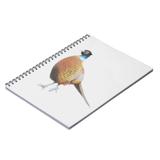 Carnet Faisan 2012 (Côté gauche)