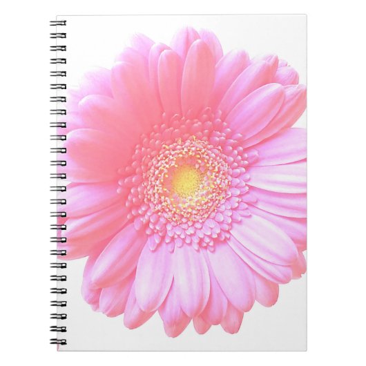 Carnet Faisée de gerbera rose pâle (Devant)