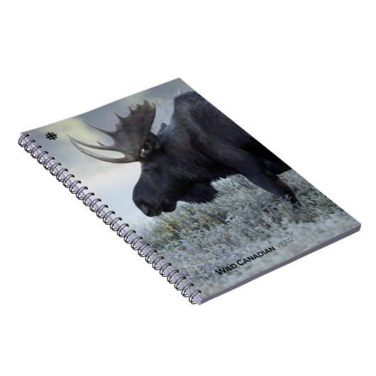 Carnet Fall - Moose (Côté Droit)