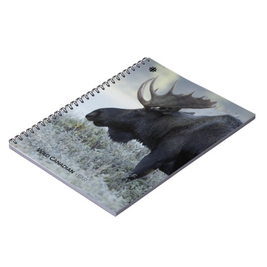 Carnet Fall - Moose (Côté gauche)