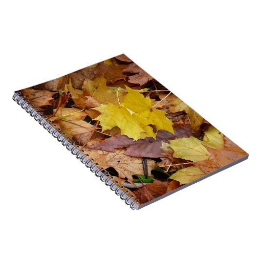 Carnet Fallen Maple Feuille Jaune Automne Nature (Côté Droit)