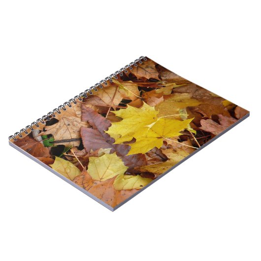 Carnet Fallen Maple Feuille Jaune Automne Nature (Côté gauche)