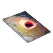 Carnet Falln chantant Ghost Koi (Côté Droit)