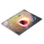 Carnet Falln chantant Ghost Koi (Côté gauche)