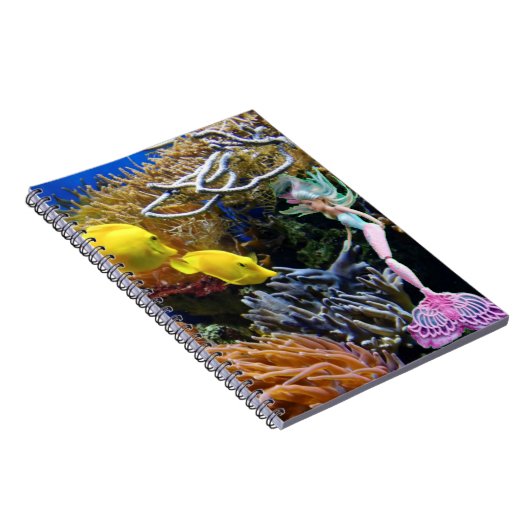 Carnet Fameuse sirène (Côté Droit)