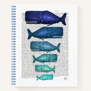 Carnet Famille Blue Whale