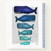 Carnet Famille Blue Whale (Dos)