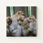 Carnet Famille Cute Ape Photo Hug (Dos)