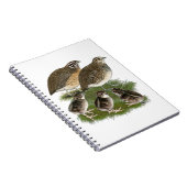 Carnet Famille de Cailles Coturnix (Côté Droit)