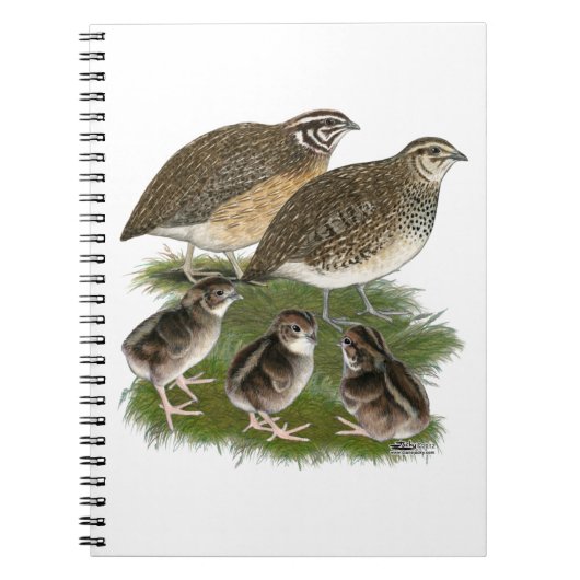 Carnet Famille de Cailles Coturnix (Devant)
