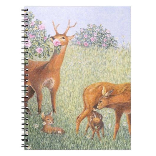 Carnet Famille de cerfs communs (Devant)
