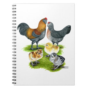 Carnet Famille de poules Ameraucana