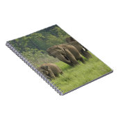 Carnet Famille d'éléphants indiens (Côté Droit)