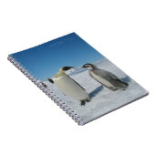 Carnet famille des pingouins (Côté Droit)