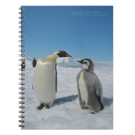 Carnet famille des pingouins (Devant)