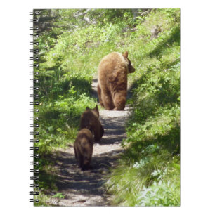 Carnet Famille d'ours brun