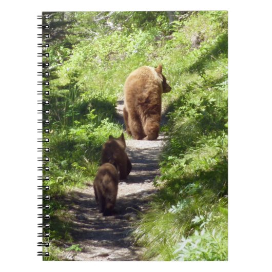 Carnet Famille d'ours brun (Devant)