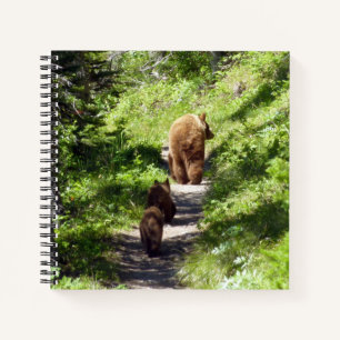 Carnet Famille d'ours brun