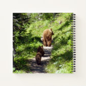 Carnet Famille d'ours brun (Dos)