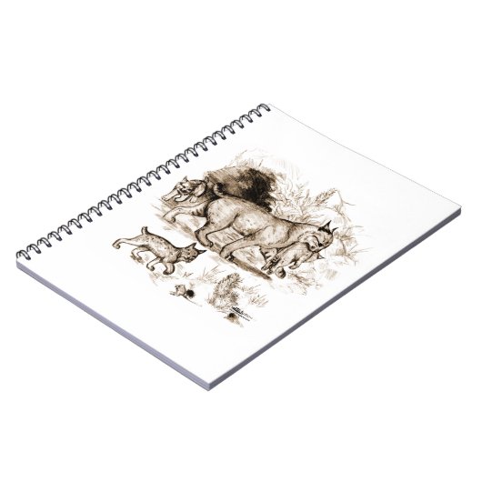 Carnet Famille du Lynx roux (Côté gauche)