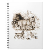 Carnet Famille du Lynx roux (Devant)