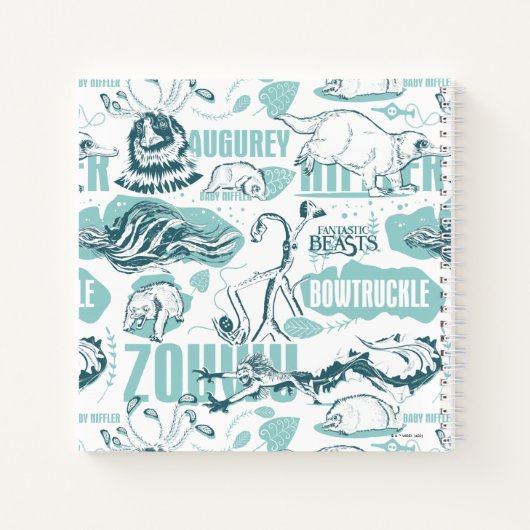 Carnet Fantastic Beasts Motif bleu (Dos)