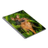 Carnet Faon de cerf à queue blanche | Minnesota (Côté Droit)