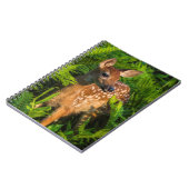 Carnet Faon de cerf à queue blanche | Minnesota (Côté gauche)