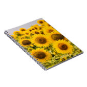 Carnet Farms | A Sunflower (Côté Droit)