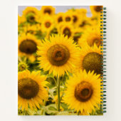 Carnet Farms | A Sunflower (Dos)
