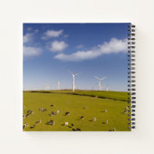 Carnet Farms | Cows Near Windmill Farm (Dos)