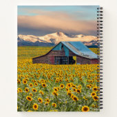 Carnet Farms | Field (Dos)