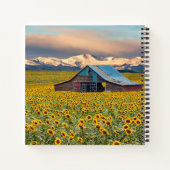 Carnet Farms | Field (Dos)