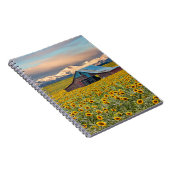 Carnet Farms | Field (Côté Droit)