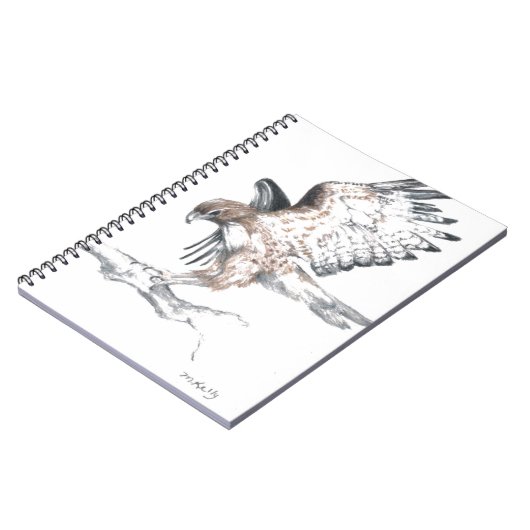 Carnet Faucon (Côté gauche)