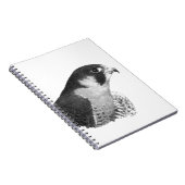 Carnet Faucon-Crayon pérégrin (Côté Droit)