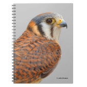 Carnet Faucon étonnant de Kestrel Sparrowhawk américain (Devant)
