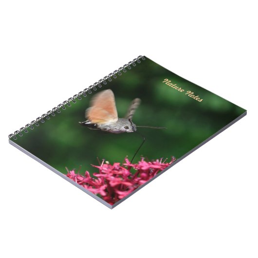 Carnet Faucon-mite de colibri planant (Côté gauche)