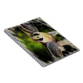 Carnet Faucon pèlerin (Côté Droit)