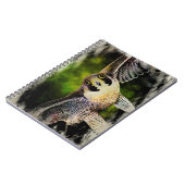 Carnet Faucon pèlerin (Côté gauche)