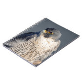 Carnet Faucon pèlerin le long de la rivière Hudson (Côté gauche)