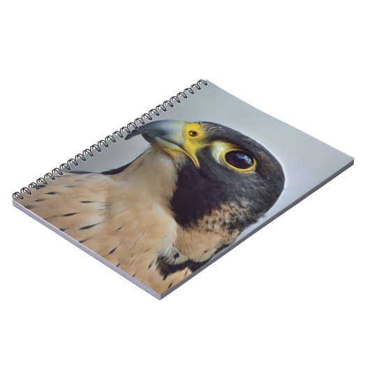 Carnet Faucon pérégrin majestueux (Côté gauche)