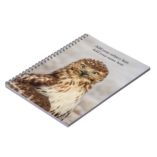 Carnet Faucon Rouge-Coupé la queue non mûr au sol (Côté gauche)