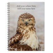 Carnet Faucon Rouge-Coupé la queue non mûr au sol (Devant)