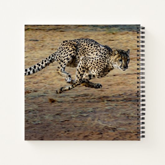 Carnet Faune Cheetah Running Photo (Dos)