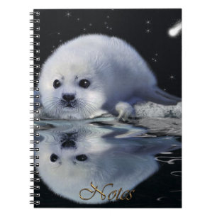 Carnet faunique Harpphoe, Aurora et Flotte de glac